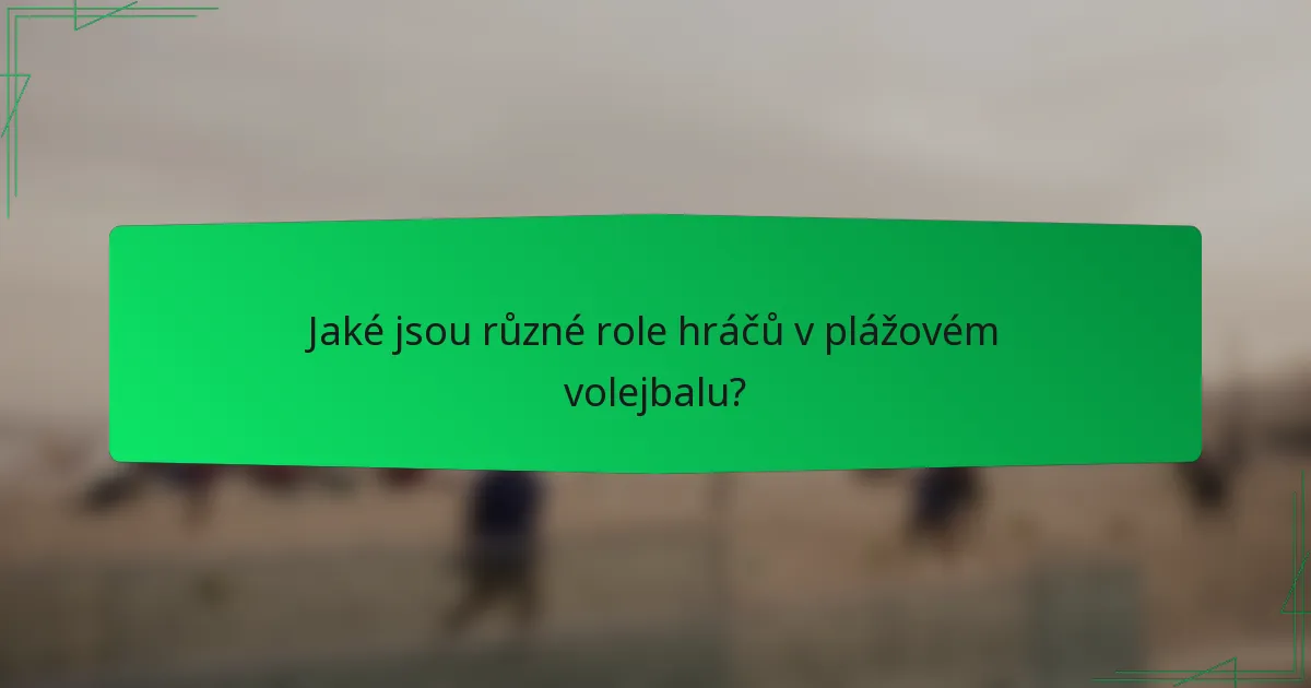 Jaké jsou různé role hráčů v plážovém volejbalu?